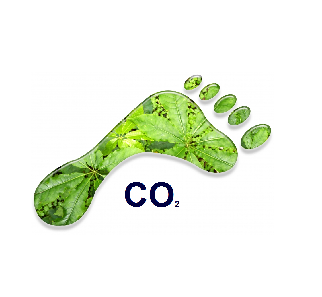 https://www.bss-nederland.nl/assets/uploads/Perslucht-online_CO2-footprint-1.png